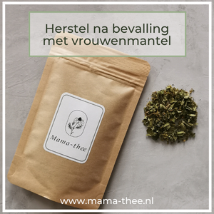 Vrouwenmantelthee: onmisbaar voor het herstel na bevalling